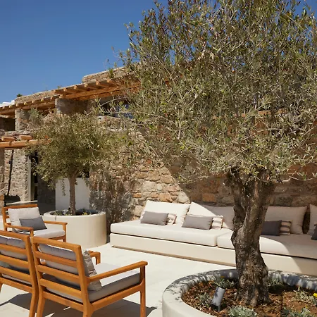 Hotel Collini Mykonos Mykonos Town